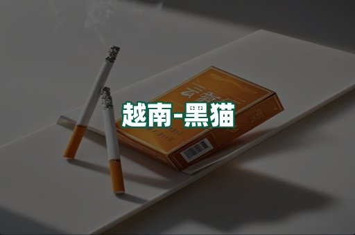 越南黑猫